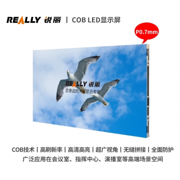 RLED-CP7Z COB LED显示屏