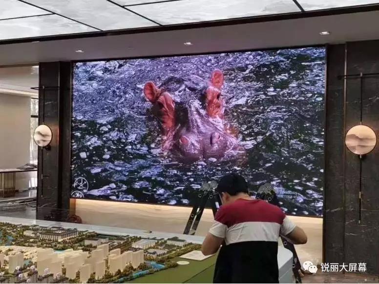 锐丽P2全彩LED