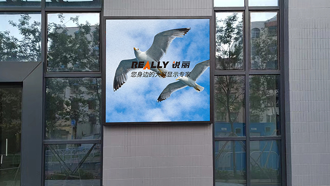 4 - 副本.jpg