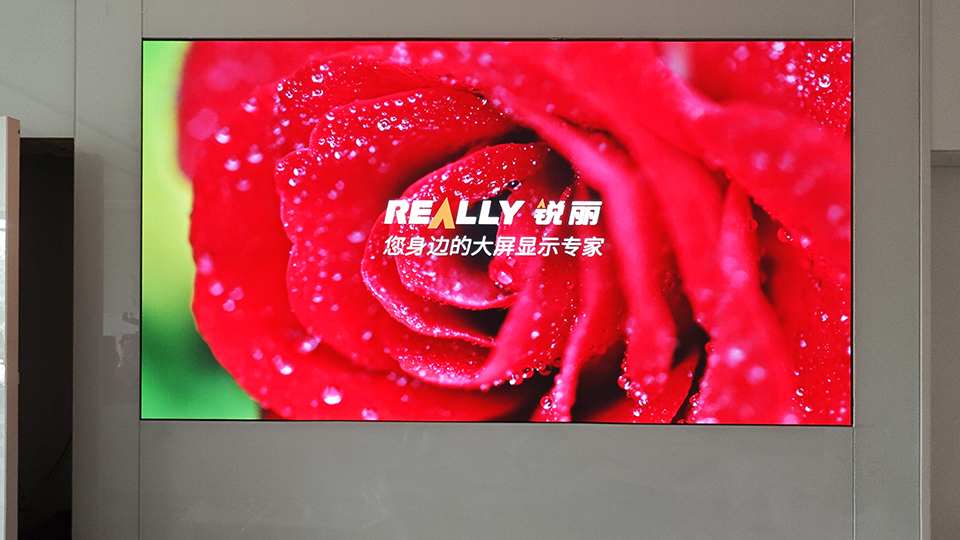 4 - 副本.jpg